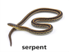 Final T Serpent Dnt Image